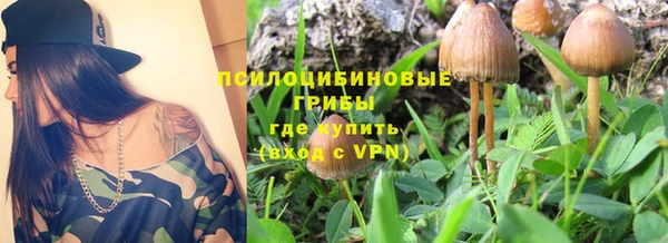 мяу мяу кристалл Алексин